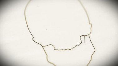 insan kafatası animasyon