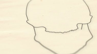 insan kafatası animasyon