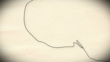 insan kafatası animasyon