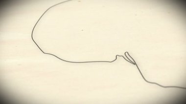 insan kafatası animasyon