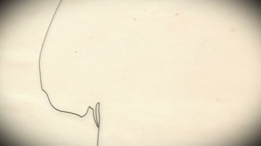 insan kafatası animasyon