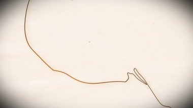 insan kafatası animasyon