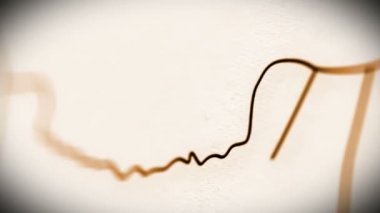 insan kafatası animasyon