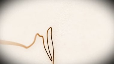 insan kafatası animasyon