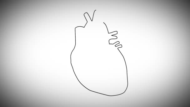 Human Heart Animation — Stock Video