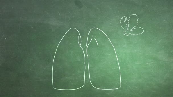 Animação pulmonar humana — Vídeo de Stock