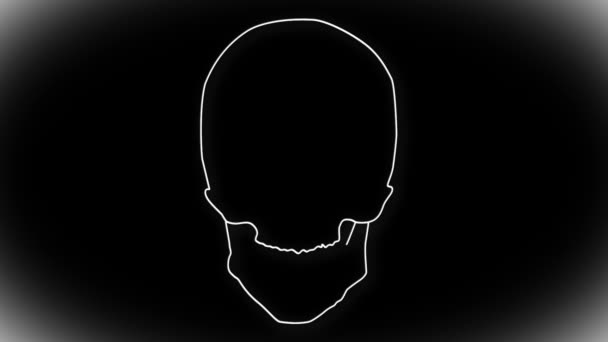 Human Skull Animation — Stock Video