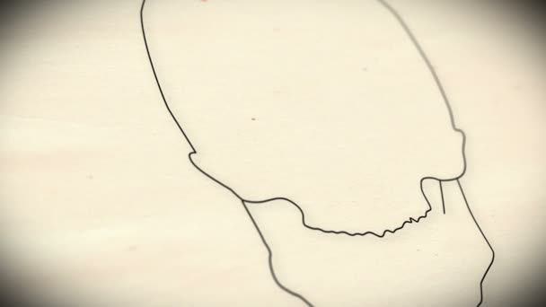 Animation du crâne humain 