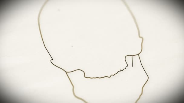 Animation du crâne humain 