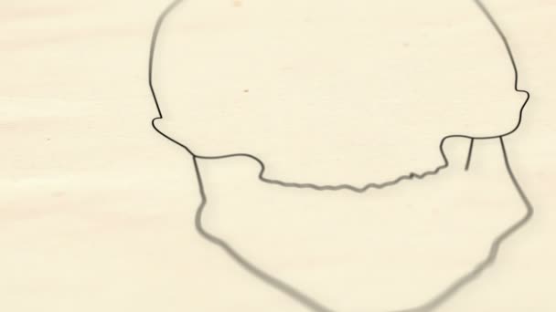 Animation du crâne humain 