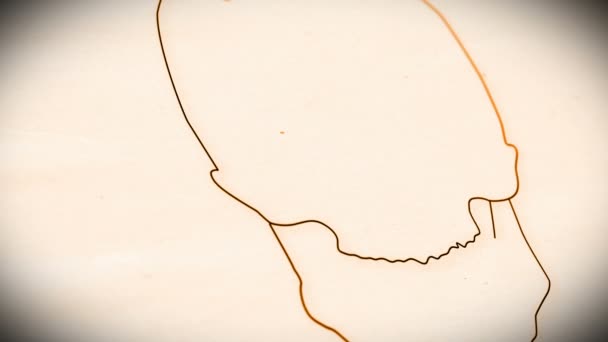 Animation du crâne humain 