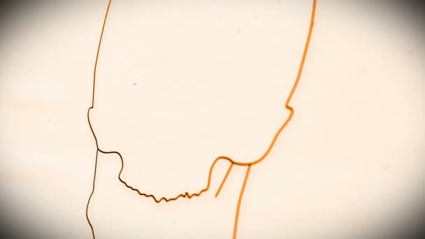 人間の頭蓋骨のアニメーション — ストック動画
