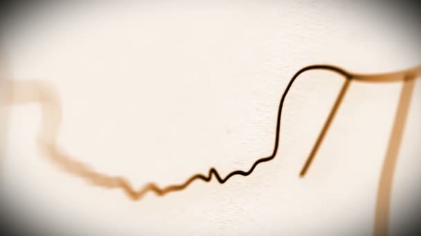 Animation du crâne humain 