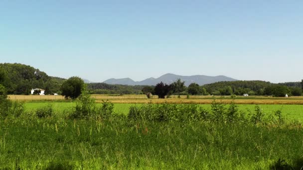 Vacker sommar landsbygden — Stockvideo