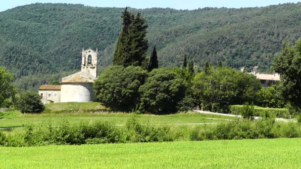 Campo de Verão bonito — Vídeo de Stock