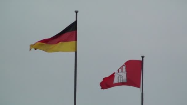 Hamburg Tyskland Tyskland och flagga hamburg — Stockvideo