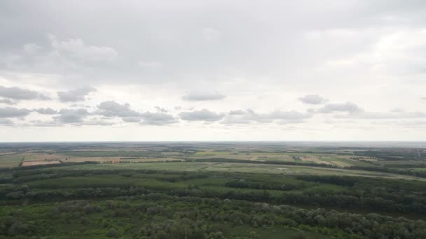 Mooie zomerse platteland — Stockvideo