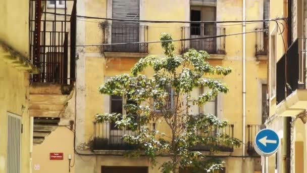 Small Town Banyoles Street in Spain Catalonia June 2012 — Stock Video