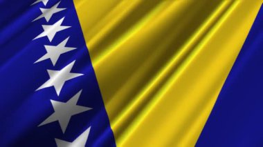 Bosna Hersek bayrağı sallayarak