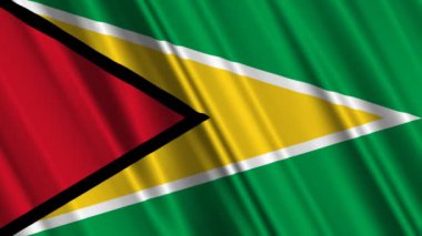 guyana bayrak sallayarak
