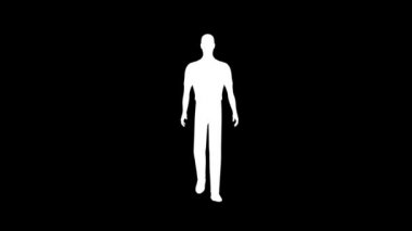 yürüyüş iş kavramı - liderlik ekip çalışması erkekler