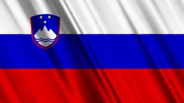 Slovakya bayrağı