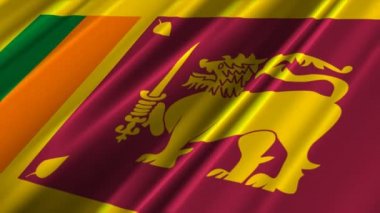 Sri lanka bayrağı