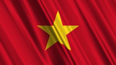 Vietnam bayrağı