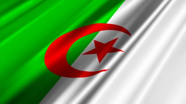 Αλγερινή σημαία που κυματίζει — Αρχείο Βίντεο