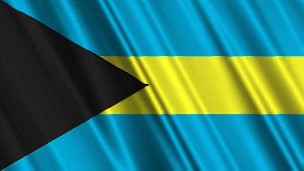 Drapeau des Bahamas agitant — Video