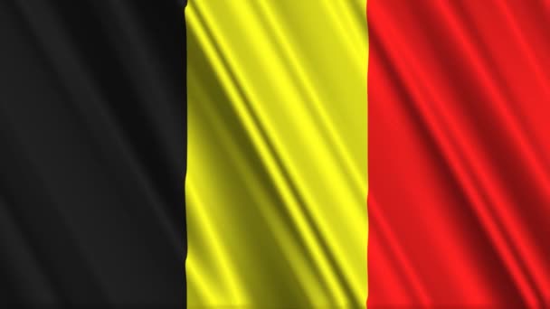 Belgien flagga vajande — Stockvideo