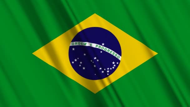 Bandeira do brasil acenando — Vídeo de Stock