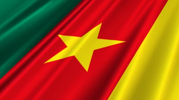 Kamerun-Flagge geschwenkt — Stockvideo