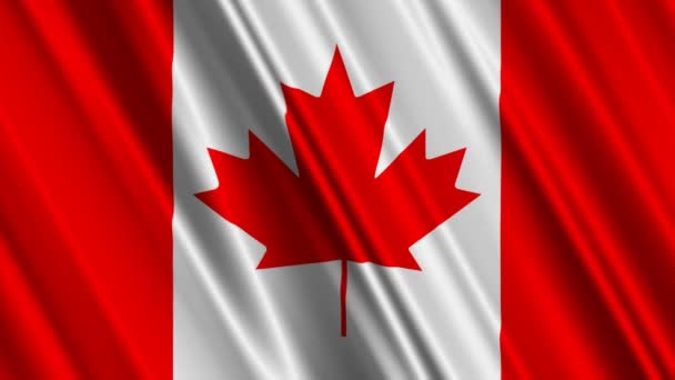 Kanada bayrağı sallayarak — Stok video