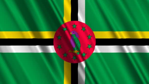 Dominica flagga viftar — Stockvideo