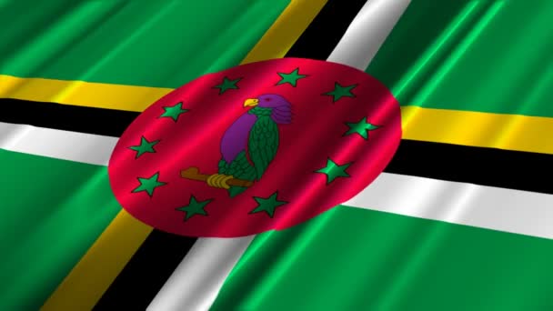 Dominica Bandera ondeando — Vídeo de stock