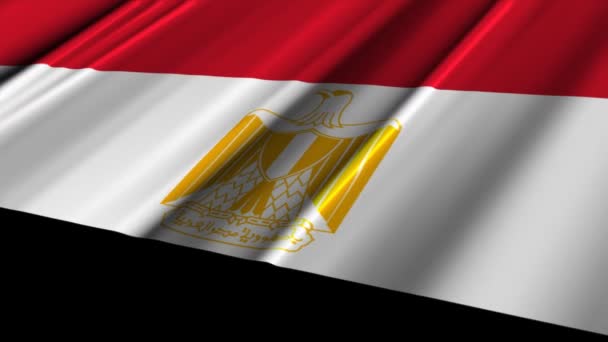 Egypten flagga vajande — Stockvideo