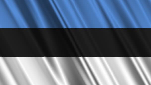 Estonia Bandera ondeando — Vídeos de Stock