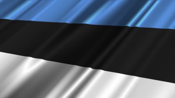 Estland-Flagge geschwenkt — Stockvideo