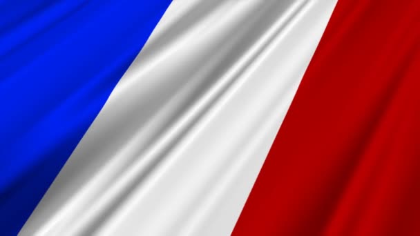 Bandera de Francia ondeando — Vídeo de stock