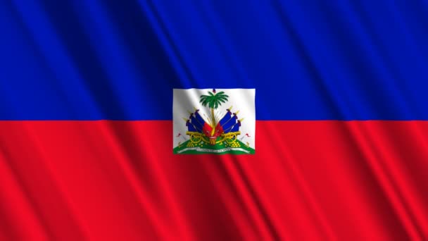 Гаїті прапор махав — стокове відео