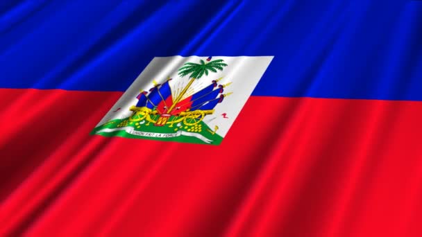 Haïti Drapeau agitant — Video