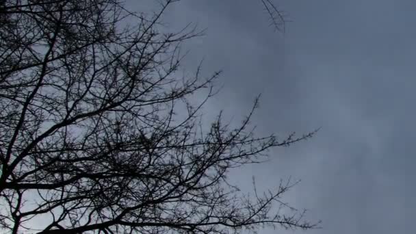 Korku sahnesi bulutlar timelapse — Stok video