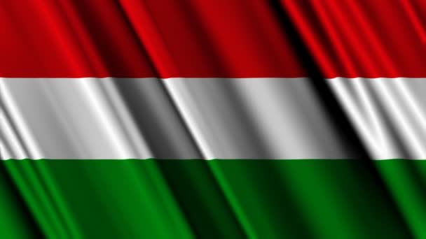 Ungarische Flagge geschwenkt — Stockvideo