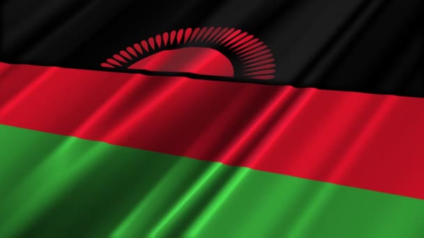 Malawi Flag — Stock Video