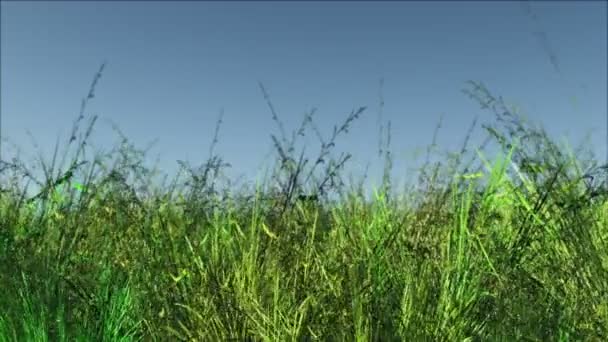 Meadow 3D render surrealistic mysterious — Stock Video
