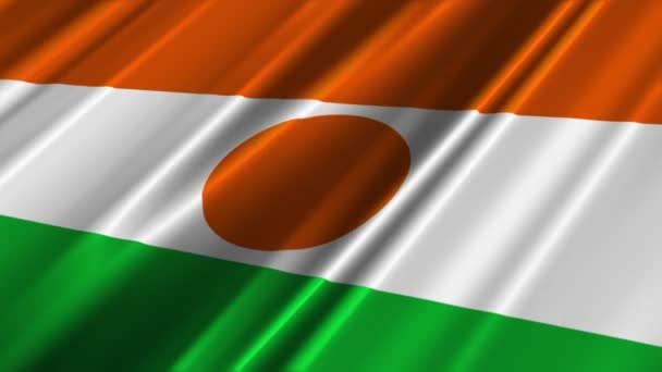 Niger Flagge — Stockvideo