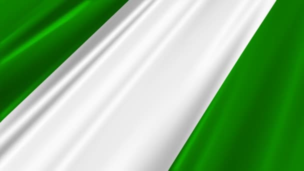Vlag van Nigeria — Stockvideo