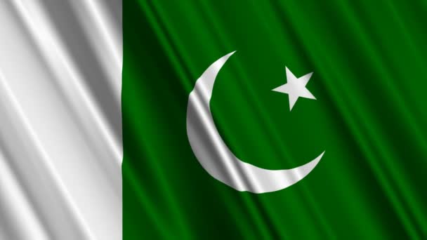 Vlag van Pakistan — Stockvideo