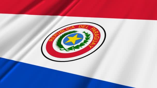 Flagge Paraguays — Stockvideo